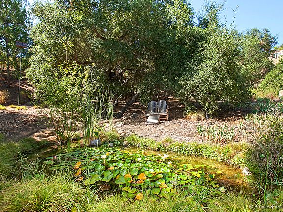 Have a picnic by the pond