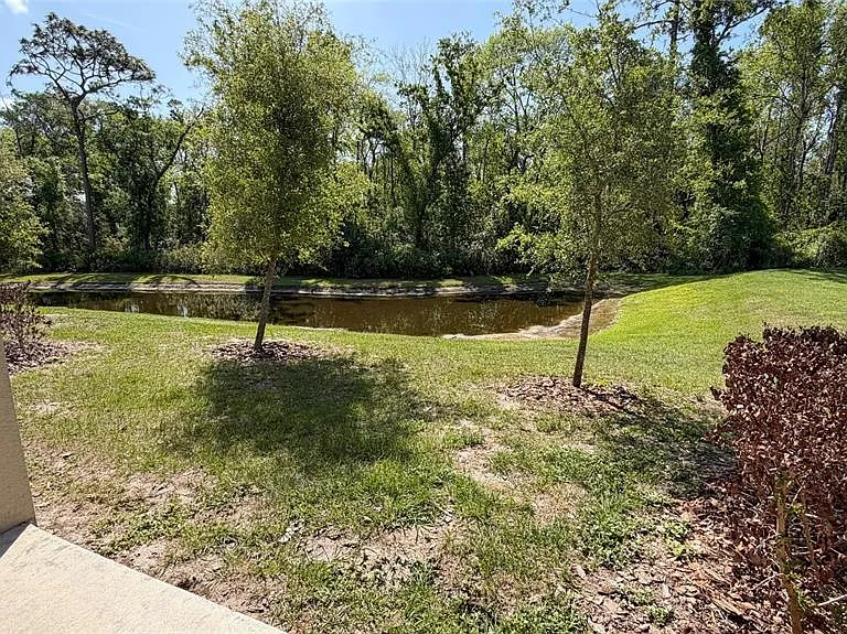 17608 Nectar Flume Dr — Photo 20