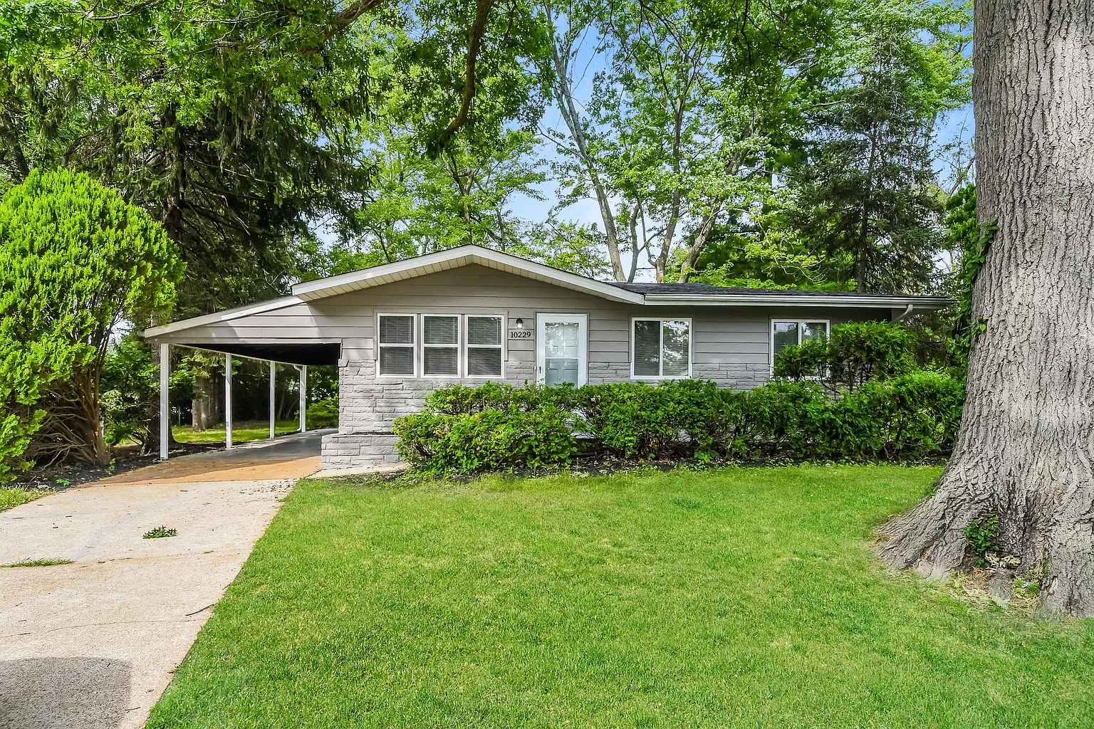 10229 Lynncrest Ct photo 1