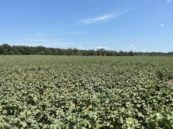 (undisclosed Address), Greenwood, MS 38930