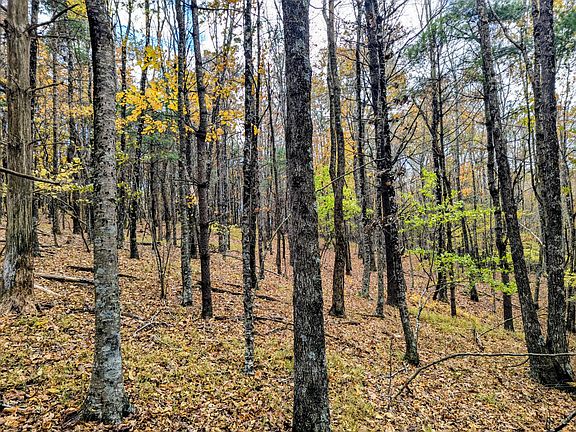 41st image of this home