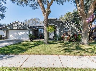 3723 Cold Creek Dr, Valrico, FL 33596