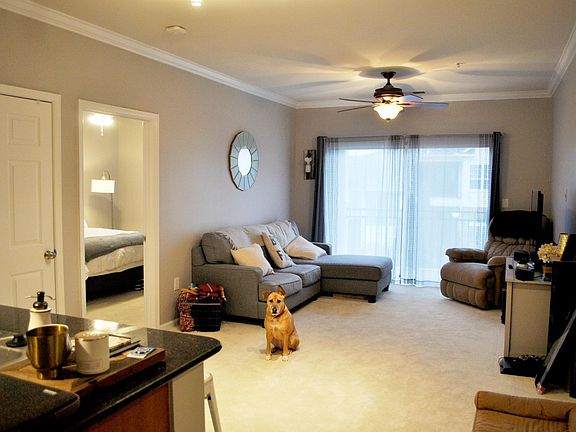 Living room from front door