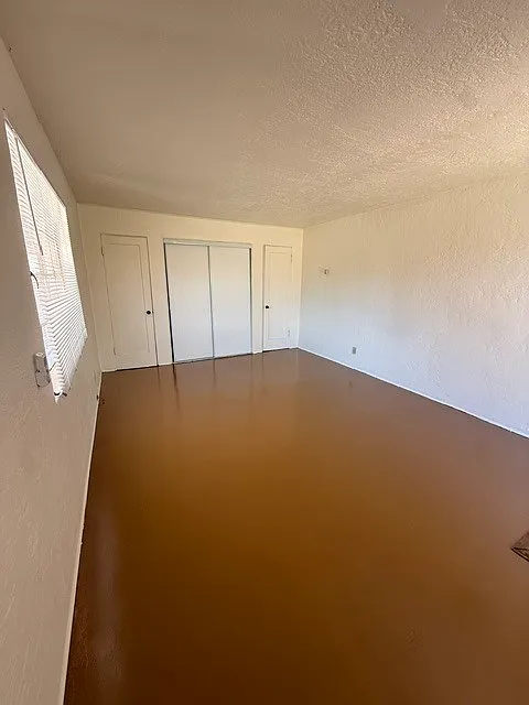 Studio, 1.0 bath, 400 sqft, $750 — Photo 4