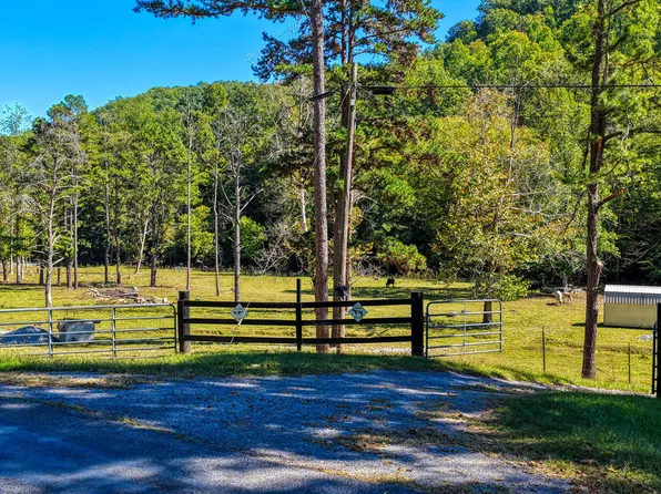 628 Grassy Creek Rd, Rogersville, TN 37857
