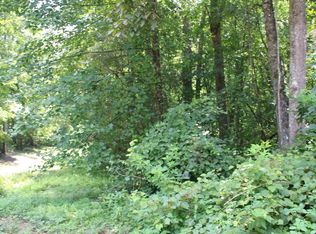 Old Salem Rd, Mineral Bluff, GA 30559