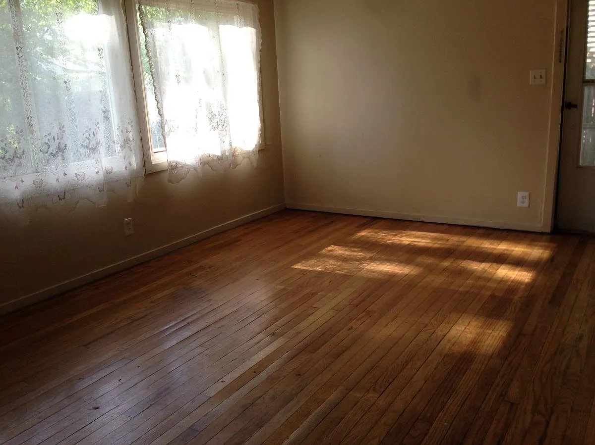 1 bed, $800 — Photo 3