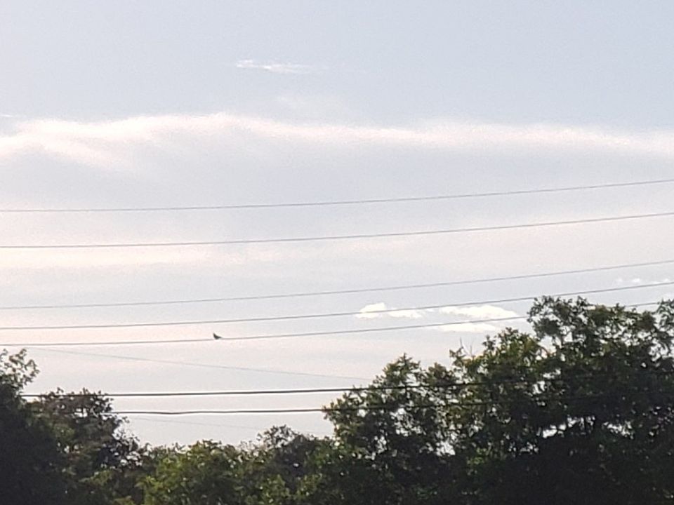 1st image of County Road 183