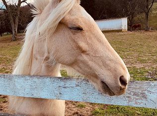 779 Southbrook Forest Ct, Weldon Spring, MO 63304