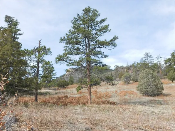 7700 Seminole Drive, Larkspur, CO 80118
