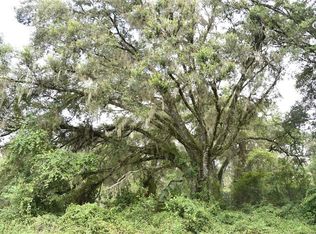 Highway 346 #A, Micanopy, FL 32667