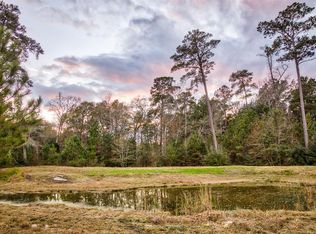 22151 Murrell Rd, Hockley, TX 77447