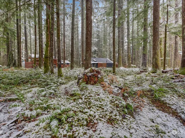 56114 343rd Avenue Ct E, Ashford, WA 98304