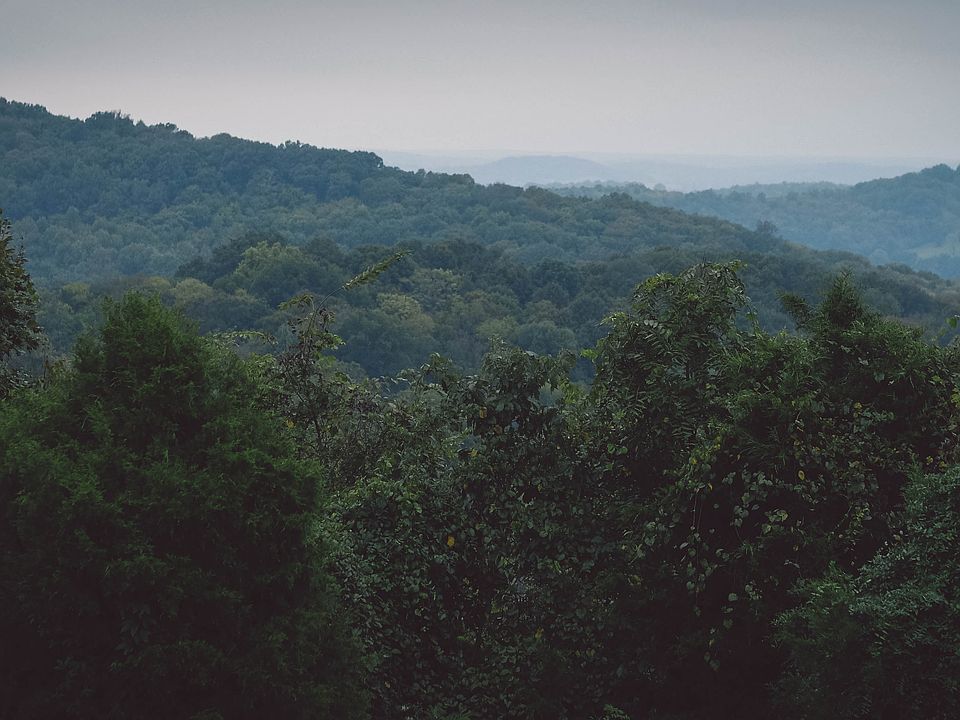 FOR SALE WITH: FAY RANCHES  