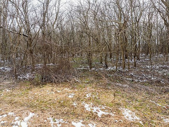 5th image of 0 Raiders Rd