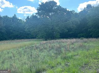 0 Lewis Station Rd, Sylvania, GA 30467