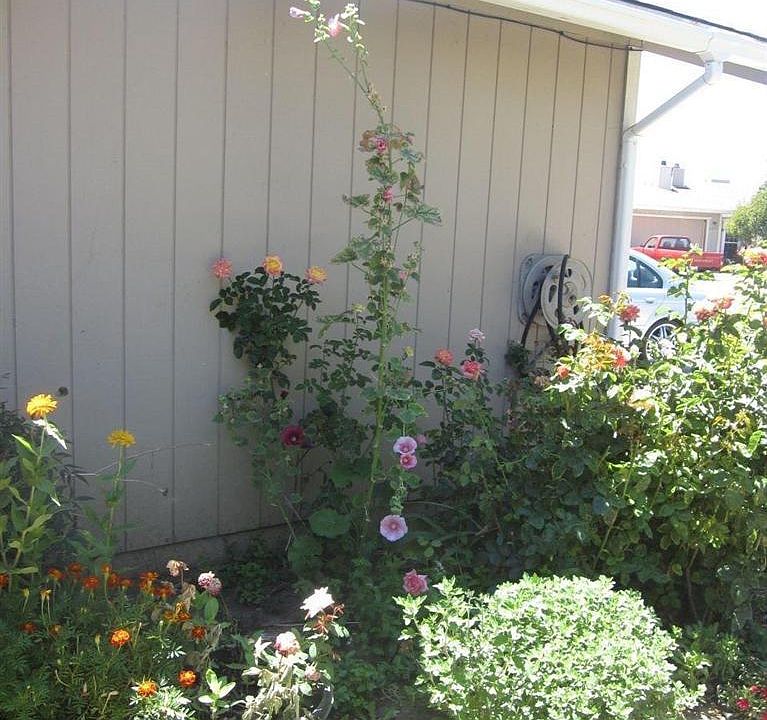 2nd image of 6633 Rodolfo Ct