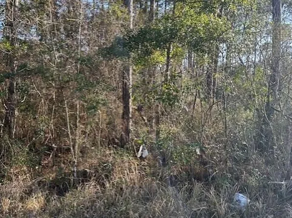 Petunia Rd Lot 93, Gautier, MS 39553