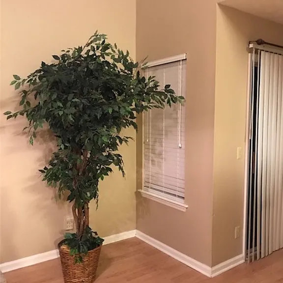 348 Sterling Creek Dr — Photo 5