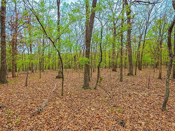 4th image of LOT 515 Eagles Cove Ct