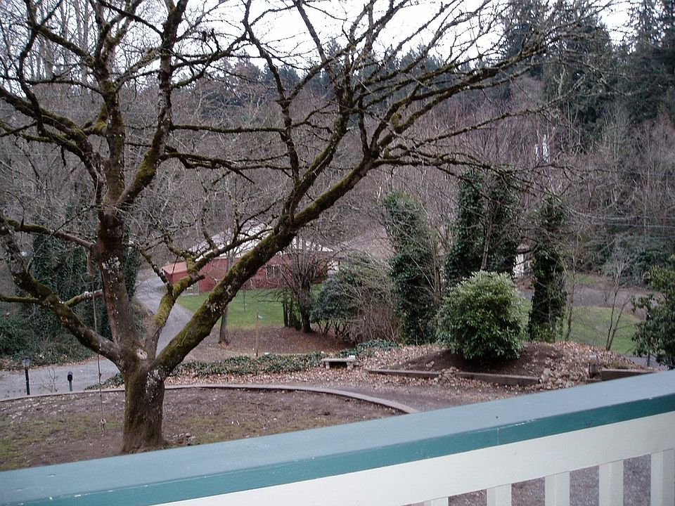 view from living room (gorgeous year round)