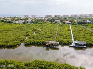 4520 S Peninsula Dr, Ponce Inlet, FL 32127