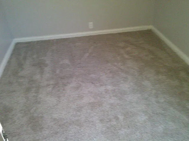 3 bed, 1400 sqft, $1,200 — Photo 4