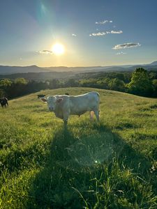 LOT-25A & #1, Lexington, VA, 24450