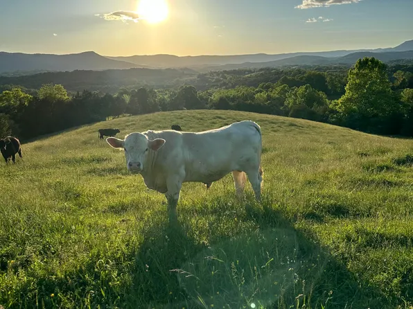LOT-25A & #1, Lexington, VA 24450