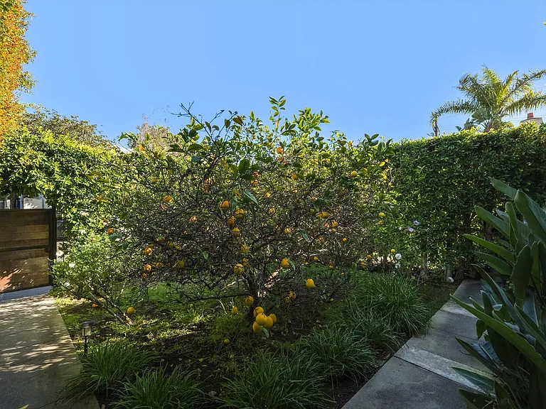 809 N La Jolla Ave — Photo 44