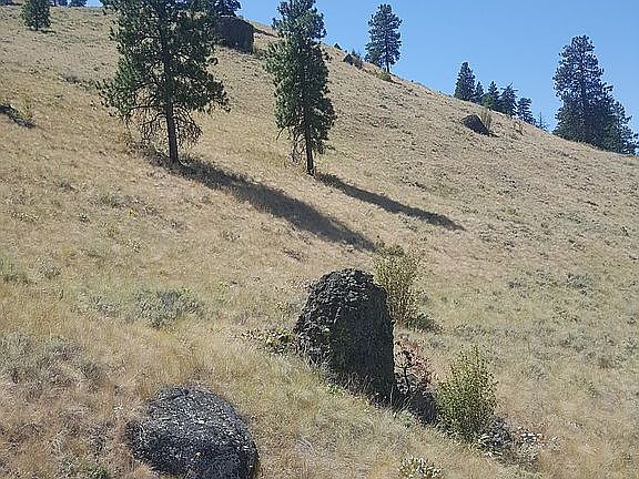 4th image of Crystal Springs Division Lot 2-40