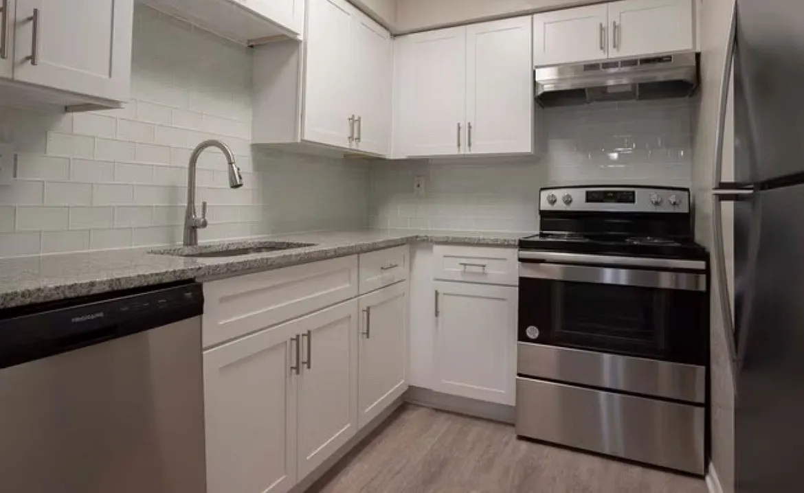 1 bed, 800 sqft, $1,125 — Photo 1