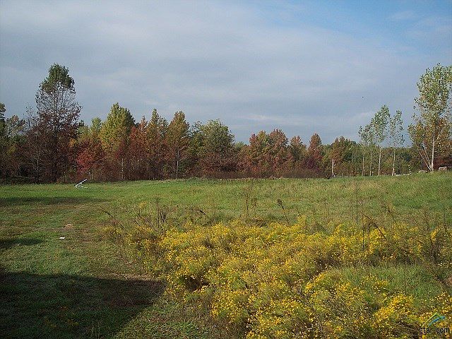1st image of 1569 County Road 1925