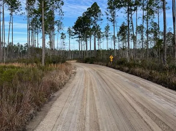 0 Bergman Rd, Naylor, GA 31641