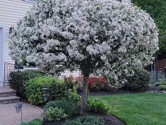 4th image of 19 Alder Creek Lane