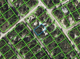 535 Dreamland Dr, Lake Placid, FL 33852