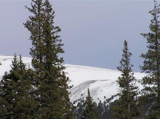 1000 Gold Pan Ln, Fairplay, CO 80440