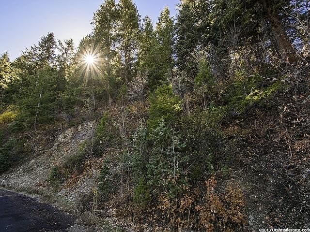 Paved road access.