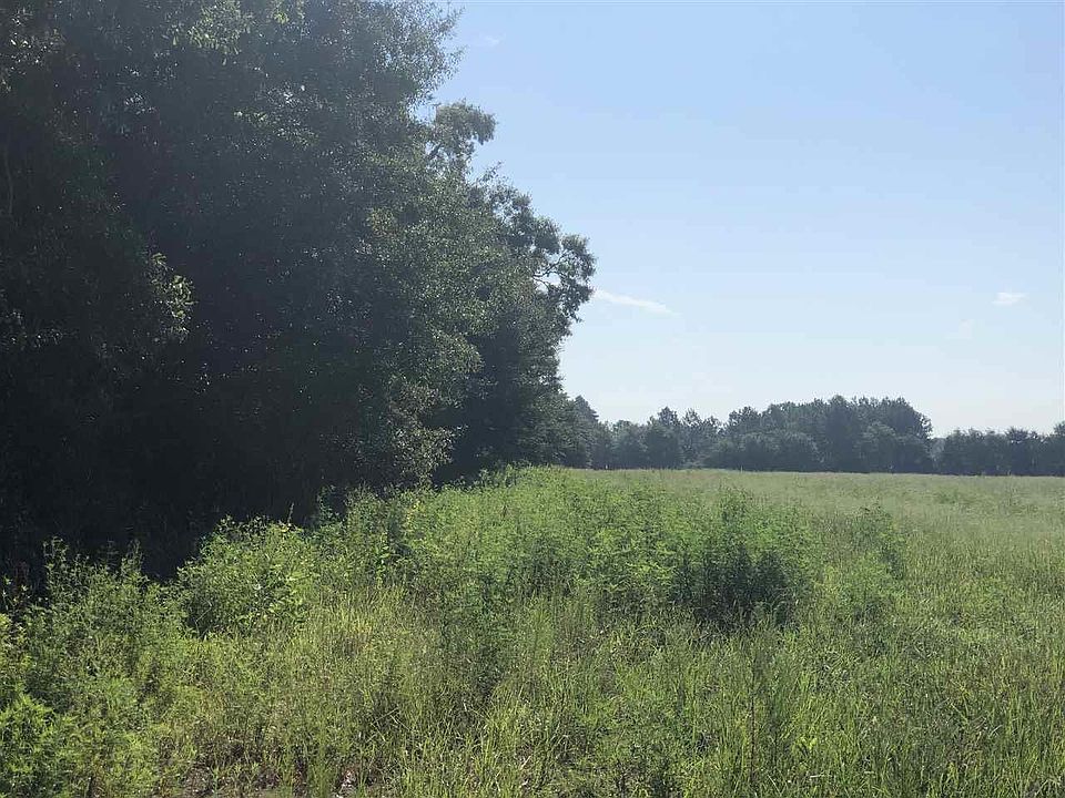2nd image of LOT 6 Ten Mile Rd