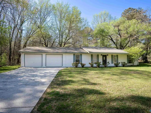 1416 Skyline Ave E, Fort Payne, AL 35967