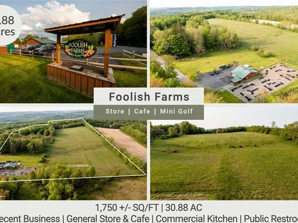 1364 County Highway 12 #3, Mount Vision, NY 13810