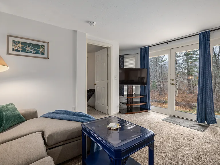 living room. foldout queen size sofa bed and TV.