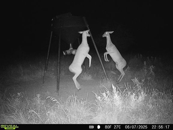 4th image of 999 Two County Rd #3805