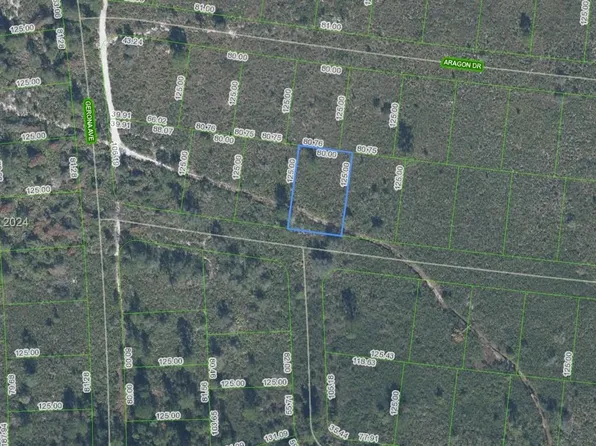 8136 Veronese St, Sebring, FL 33872