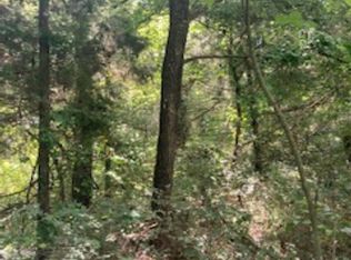 W Blue Cove Loop, Mountain View, AR 72560