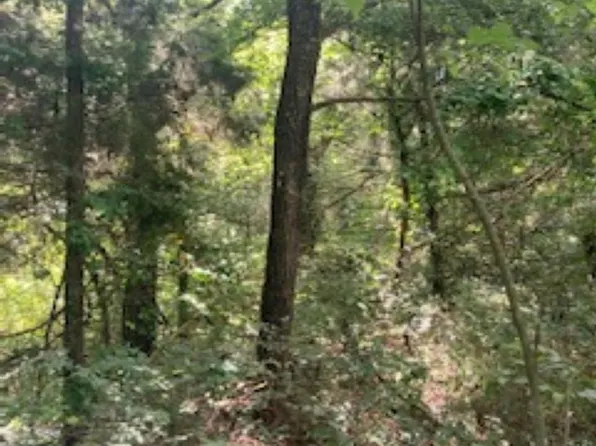 W Blue Cove Loop, Mountain View, AR 72560