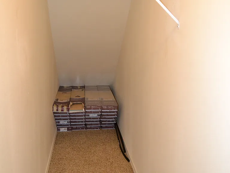 Under stair storage on lower level