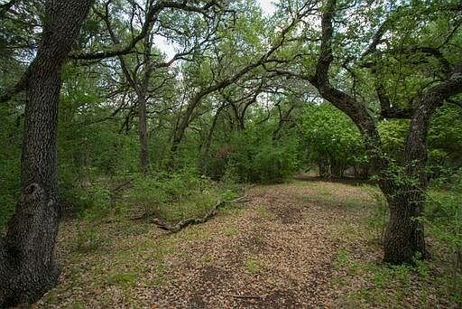Nature trails on property
