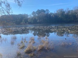 805 Lessie Culpepper Rd, Coffee Springs, AL 36318