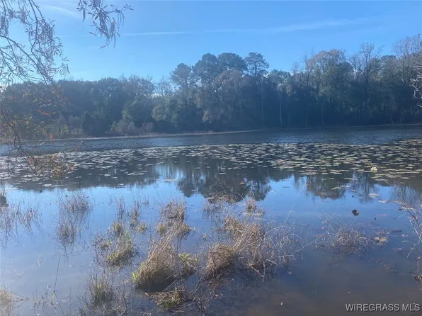 805 Lessie Culpepper Rd, Coffee Springs, AL 36318